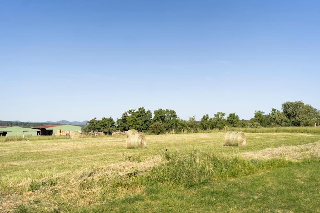 Maison A La Campagne 6 Personnes Zutzendorf Экстерьер фото